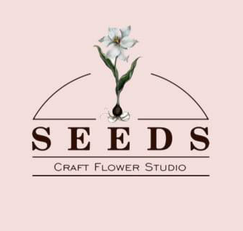seeds_craftstudio